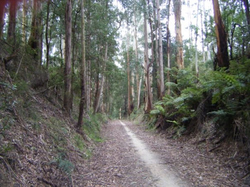 BOOLARRA